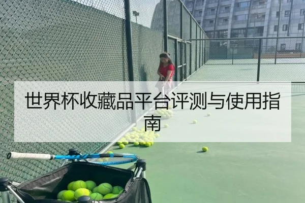 世界杯收藏品平台评测与使用指南