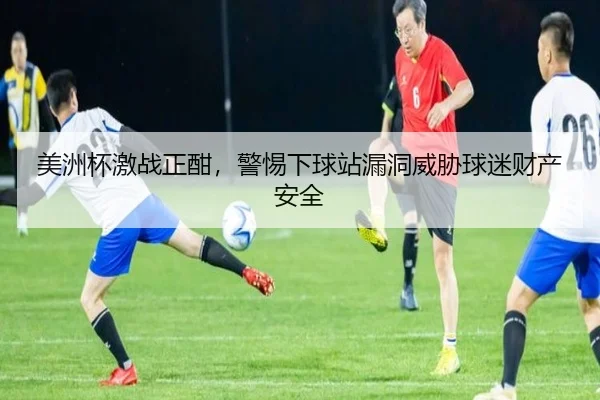 美洲杯激战正酣，警惕下球站漏洞威胁球迷财产安全