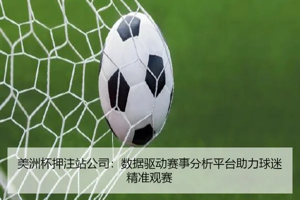 美洲杯押注站公司：数据驱动赛事分析平台助力球迷精准观赛