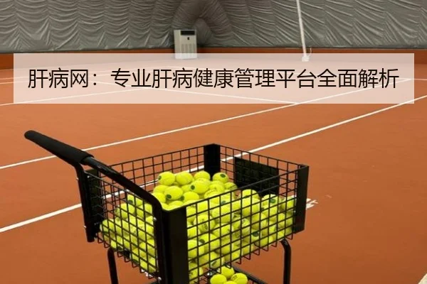 肝病网：专业肝病健康管理平台全面解析