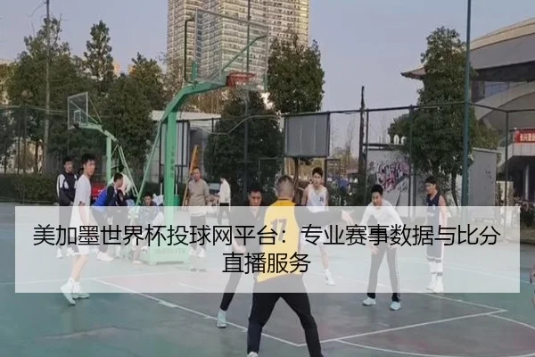 美加墨世界杯投球网平台：专业赛事数据与比分直播服务